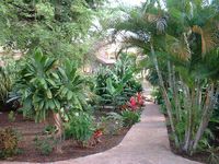 Garden of the Apart-Hotel LUIGI RESIDENCE - Boca Chica - Dominican Republic